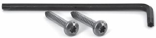 2 stainless screws and Torx key