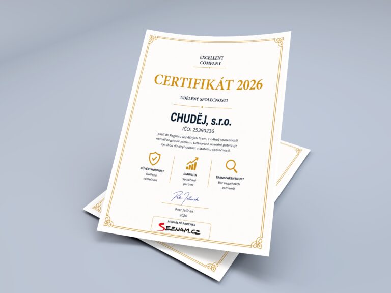 Excellent Company Certificate